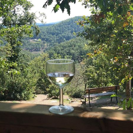 Safaritent Glamping Orlando in Chianti Cavriglia Esterno foto